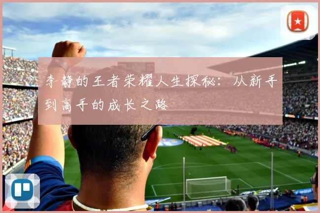 李静的王者荣耀人生探秘：从新手到高手的成长之路